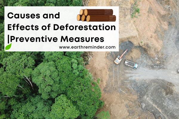 causes and effects of deforestation with preventive measures