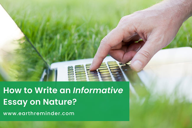 informative-essay-on-nature