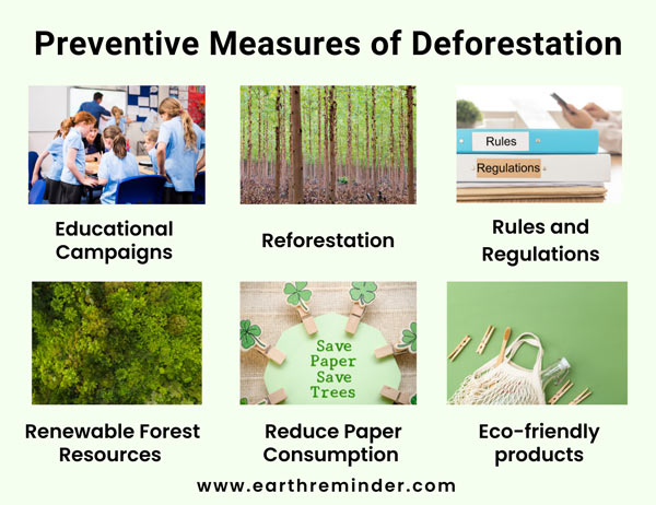 preventive measures of deforestation