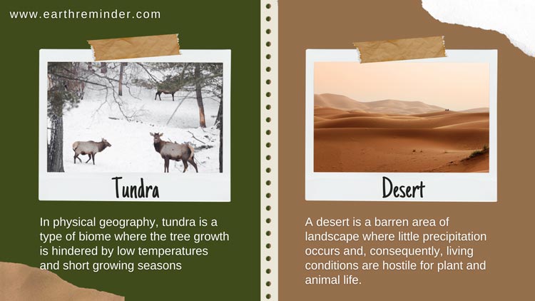 meaning of tundra ecosystem and desert ecosystem