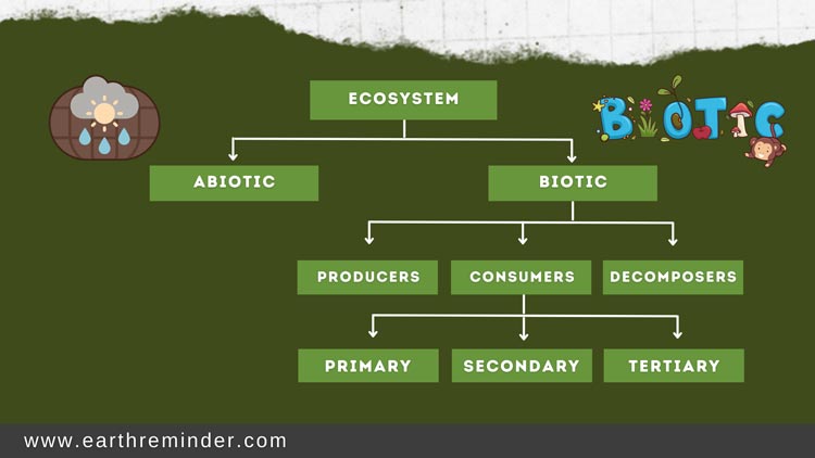 biotic and abiotic components of ecosystem
