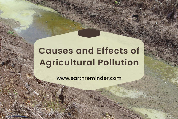 Causes and Effects of Agricultural Pollution | Earth Reminder