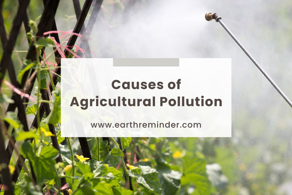 causes-of-agricultural-pollution