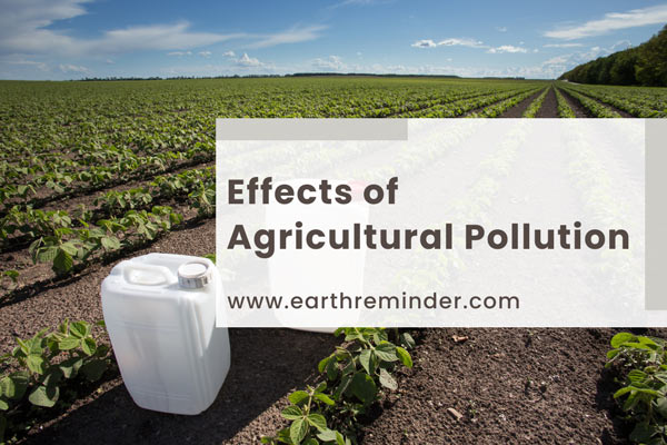 effects-of-agricultural-pollution