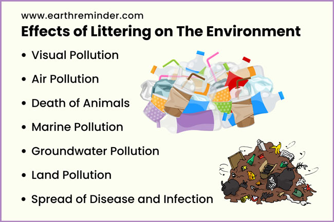 effects-of-littering-on-the-environment