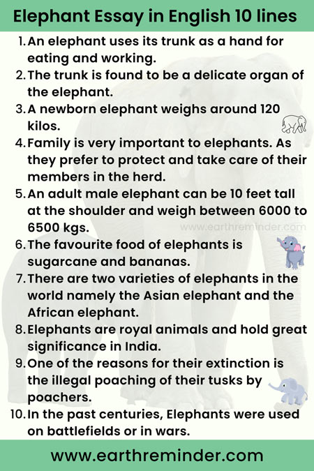 Essay on Elephant For Classes 1 to 5 in English | Earth Reminder
