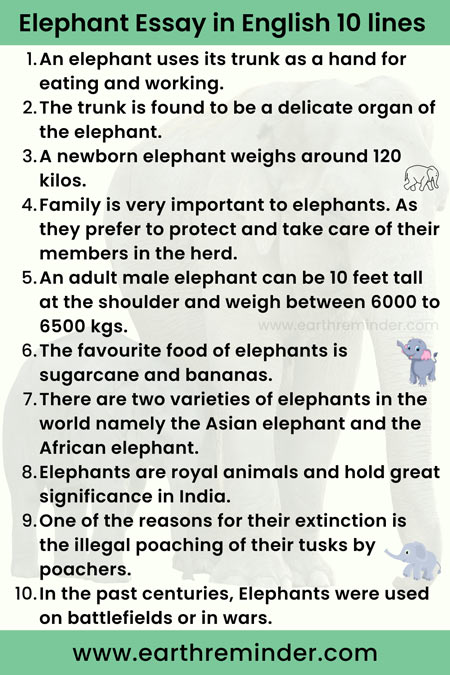 easy essay 10 lines on elephant in english