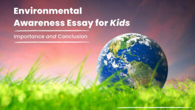 environmental awareness essay and Its Importance