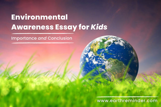 environmental consciousness essay easy