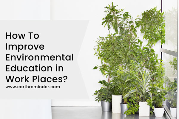 how-to-improve-environmental-education-in-office