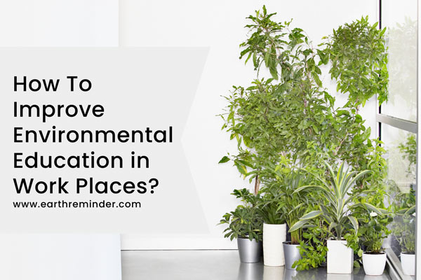 How To Improve Environmental Education How To Improve Environmental Education