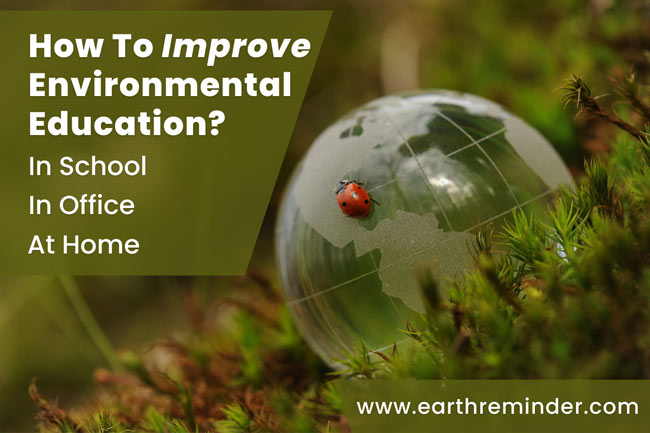 how-to-improve-environmental-education