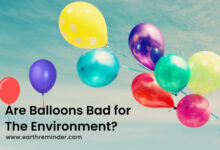 are-balloons-bad-for-the-environment