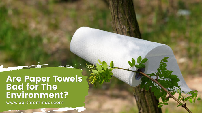 are-paper-towels-bad-for-the-environment