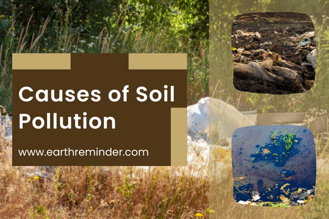 causes-of-soil-pollution