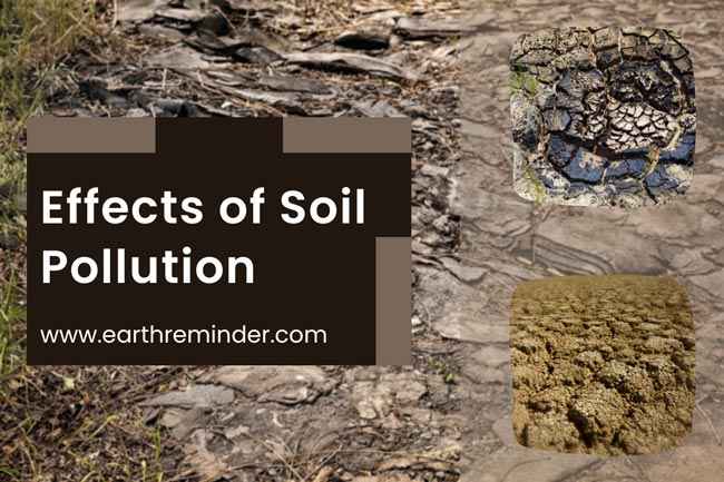 soil pollution research topics