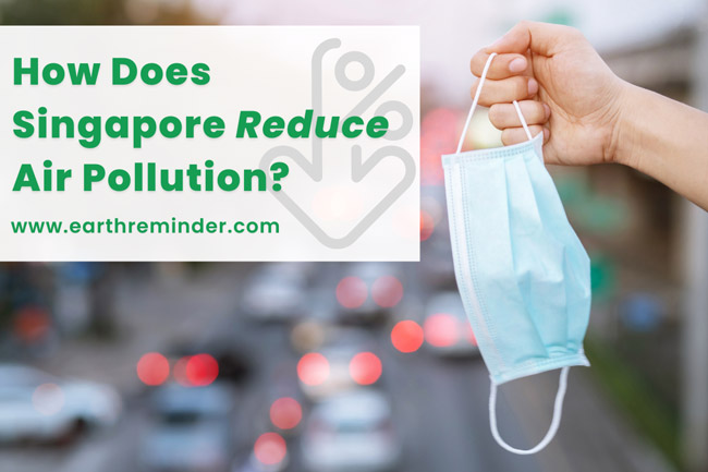 how does Singapore reduce air pollution