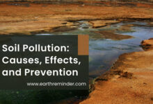 soil-pollution-definition-causes-effects-and-prevention