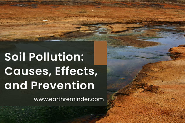 soil-pollution-definition-causes-effects-and-prevention