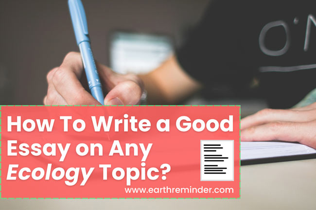 essay topics ecology