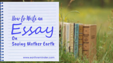 how-to-write-an-essay-on-saving-mother-earth