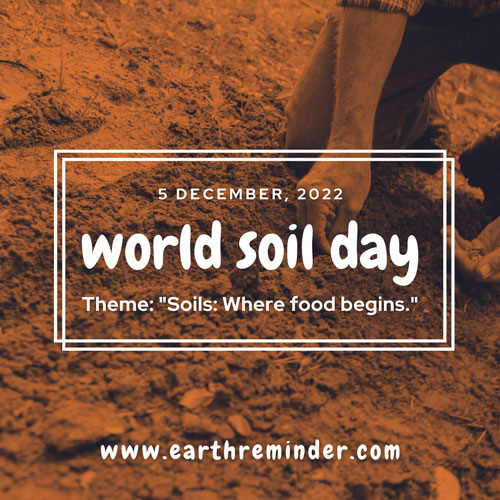 world-soil-day-2022