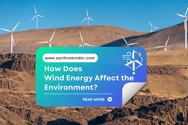 how-does-wind-energy-affect-the-environment