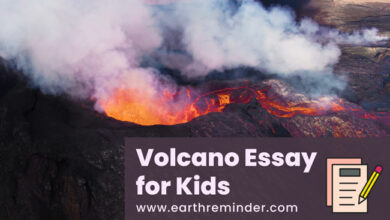 volcano-essay-for-kids
