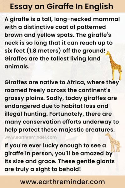 Giraffe Essay For Kids In English - 1000 Words | Earth Reminder