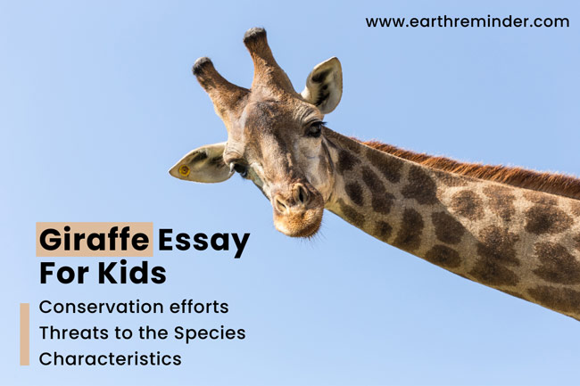 Giraffe Essay For Kids In English - 1000 Words | Earth Reminder