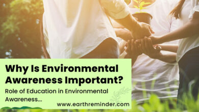 why-is-environmental-awareness-important