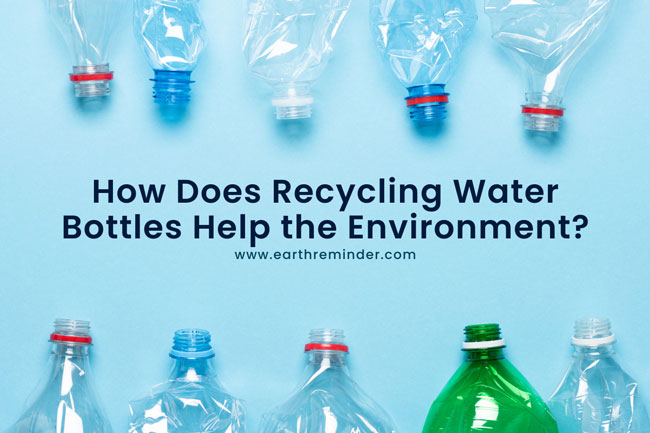 How Does Recycling Water Bottles Help the Environment?