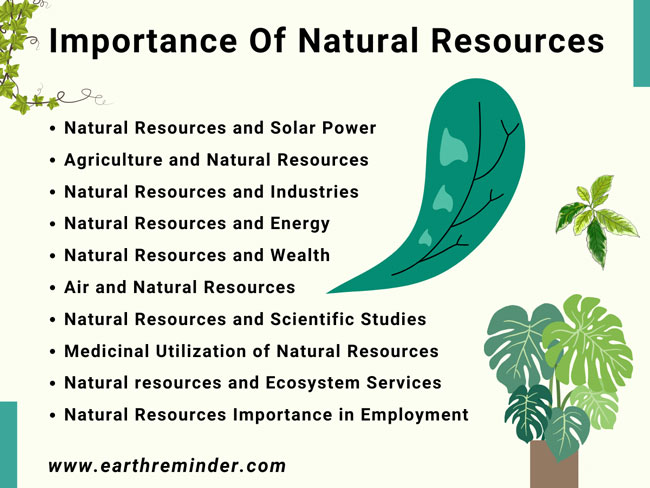 importance of natural resources in our life essay