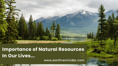 importance-of-natural-resources
