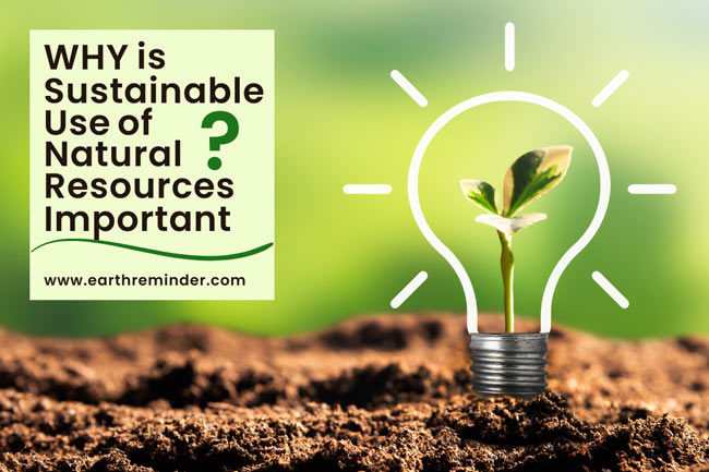 why-is-sustainable-use-of-natural-resources-important