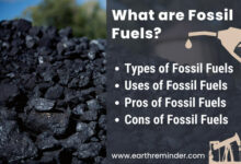 fossil-fuels-types-uses-pros-and-cons