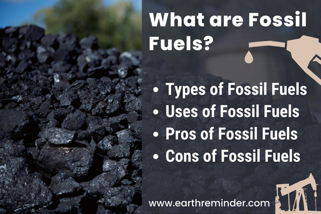 Fossil Fuels: Types, Uses, Pros and Cons | Earth Reminder