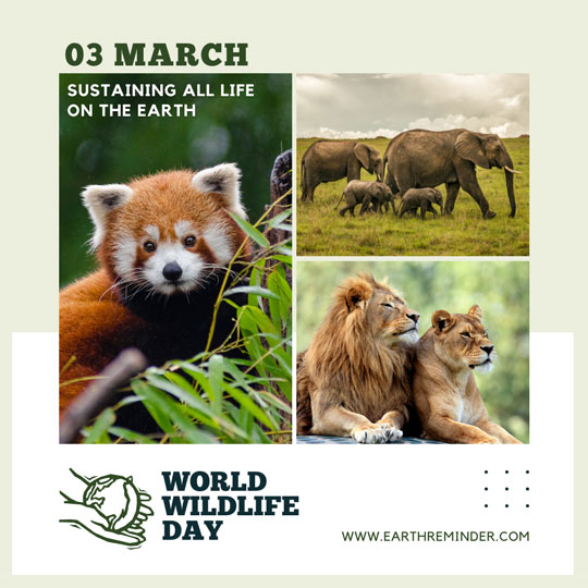 world-wildlife-day-3-march