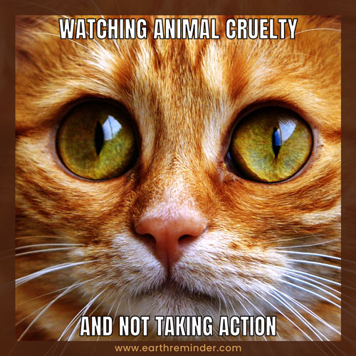 animal-cruelty-and-not-taking-action-earth-day-memes