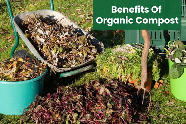 benefits-of-organic-compost