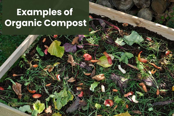 examples-of-organic-compost