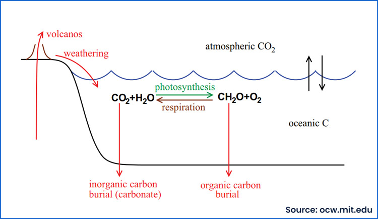 geological-carbon-cycle