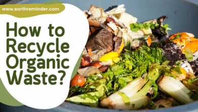 how-to-recycle-organic-waste
