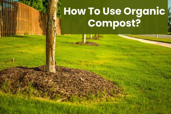 how-to-use-organic-compost