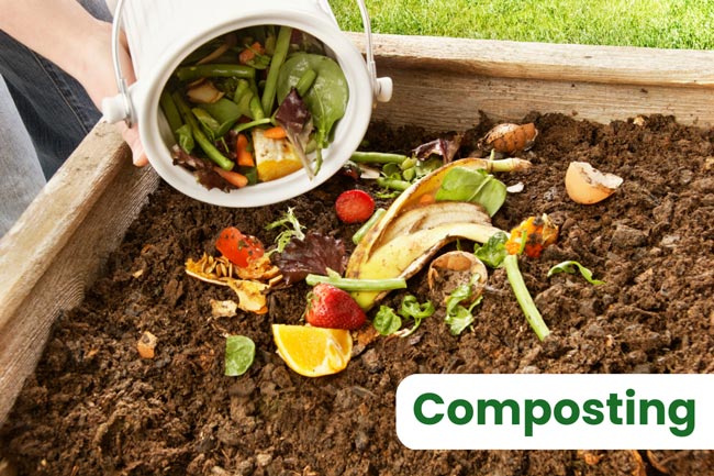 organic-waste-recycling-process-composting