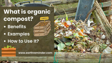 what-is-organic-compost-benefits-examples-and-how-to-use-it