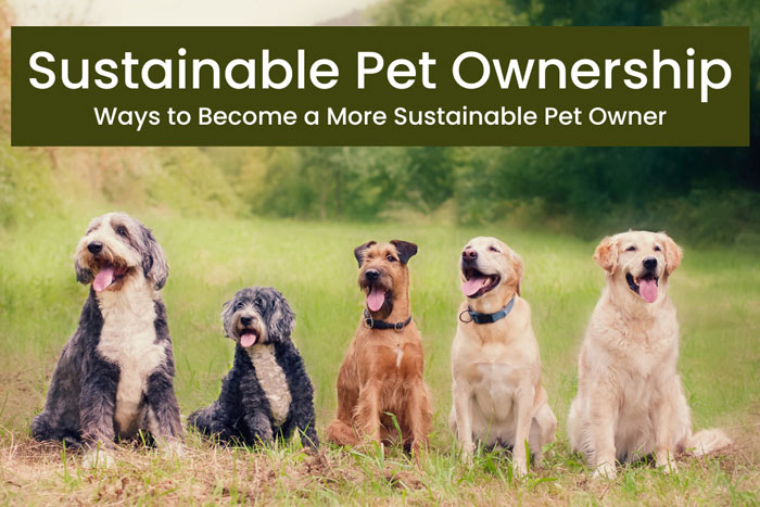 sustainable-pet-ownership