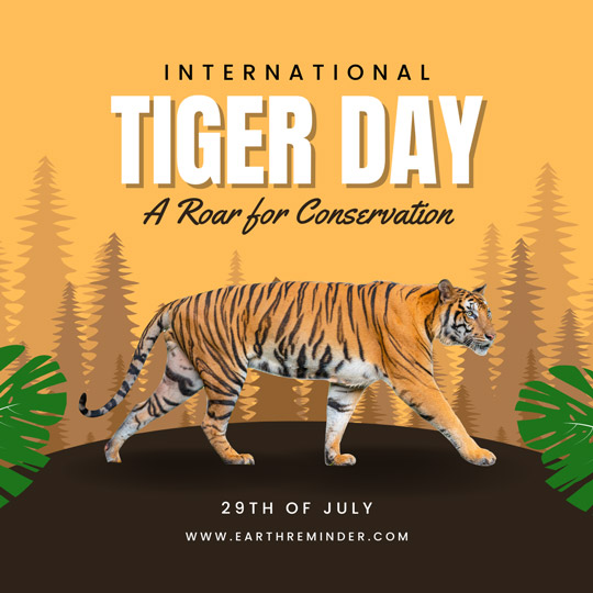 Mirror Now - July 29 is celebrated as International Tiger Day, here are  some unique facts YOU must know about the magnificent but endangered big  cat - The Royal Bengal Tiger. 🐯👇✨ #