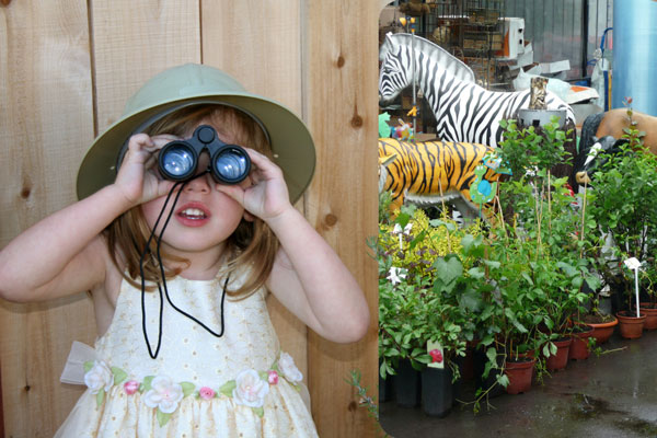 backyard-safari-nature-activities