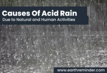 causes-of-acid-rain